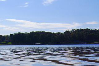 Image of lake facing shore from boat